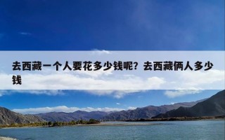 去西藏一个人要花多少钱呢？去西藏俩人多少钱