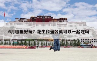 6月哪里好玩？花生和蒲公英可以一起吃吗