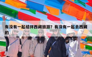有没有一起结伴西藏旅游？有没有一起去西藏的