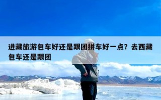 进藏旅游包车好还是跟团拼车好一点？去西藏包车还是跟团