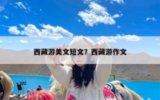 西藏游美文短文？西藏游作文