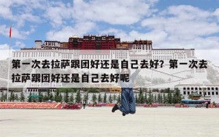 第一次去拉萨跟团好还是自己去好？第一次去拉萨跟团好还是自己去好呢