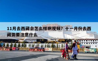 11月去西藏会怎么样啊视频？十一月份去西藏需要注意什么