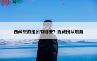 西藏旅游组团有哪些？西藏团队旅游