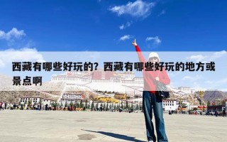 西藏有哪些好玩的？西藏有哪些好玩的地方或景点啊