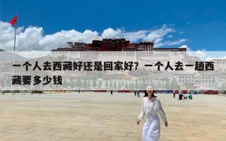 一个人去西藏好还是回家好？一个人去一趟西藏要多少钱