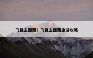 飞机去西藏？飞机去西藏旅游攻略