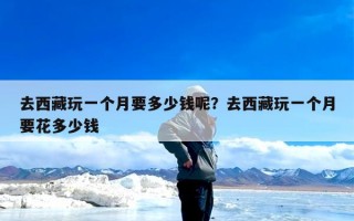 去西藏玩一个月要多少钱呢？去西藏玩一个月要花多少钱