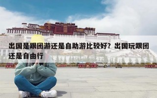 出国是跟团游还是自助游比较好？出国玩跟团还是自由行