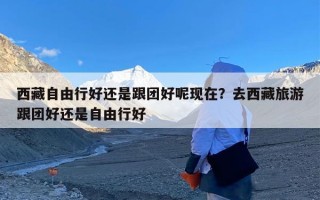 西藏自由行好还是跟团好呢现在？去西藏旅游跟团好还是自由行好