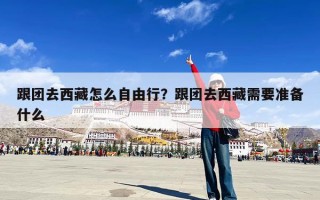 跟团去西藏怎么自由行？跟团去西藏需要准备什么