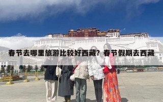 春节去哪里旅游比较好西藏？春节假期去西藏
