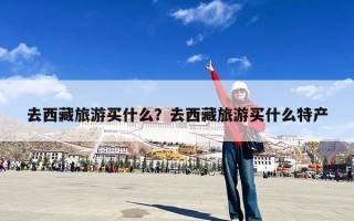 去西藏旅游买什么？去西藏旅游买什么特产