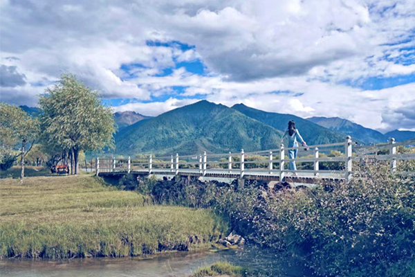 雅尼湿地公园4 已发 攻略.jpg
