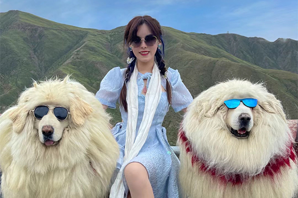 羊湖单女藏獒1.jpg