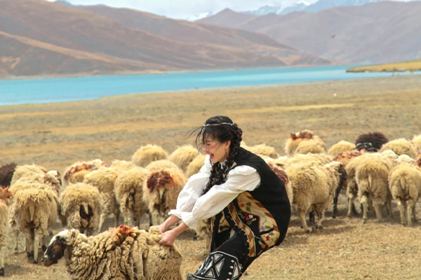 羊湖单女羊1.jpg
