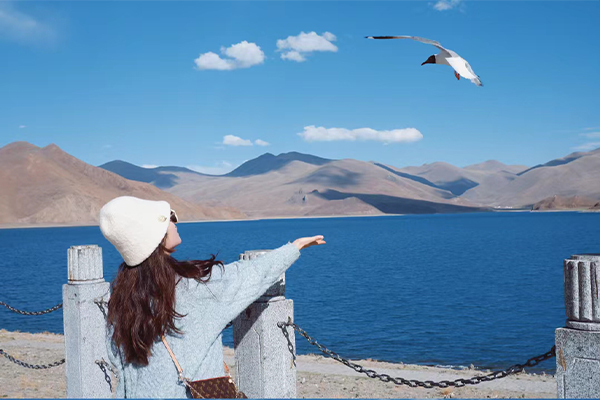 羊湖单女54已发2.0 攻略2.0.jpg