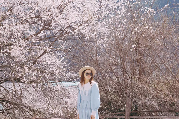林芝桃花18已发2.0.jpg