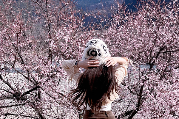 林芝桃花1 单女 已发4.0 攻略.jpg