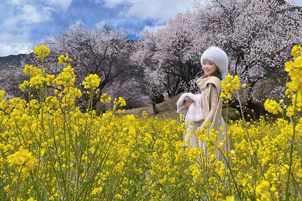 单女油菜花桃花1已发2.0 攻略.jpg
