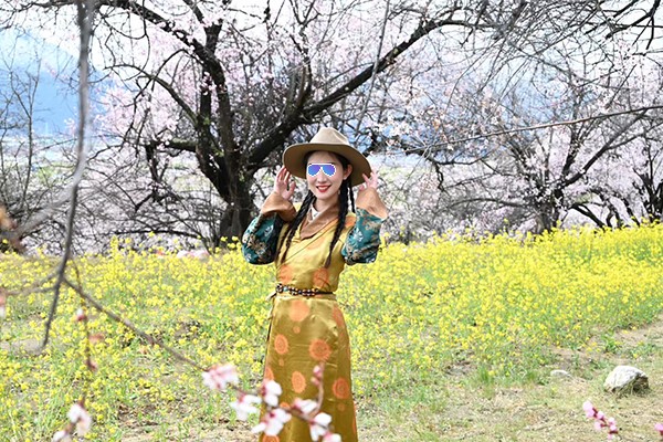 林芝桃花6已发2.0 攻略4.0.jpg
