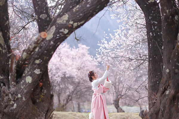 单女桃花旅拍2已发 攻略.jpg