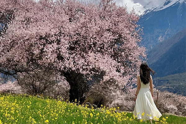 单女桃花36.jpg