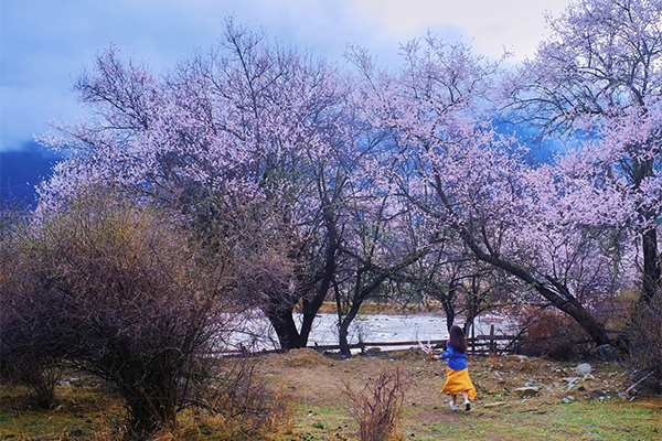 单女桃花15.jpg