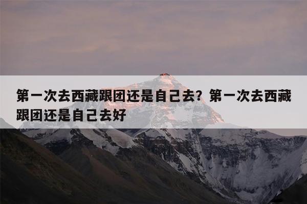 第一次去西藏跟团还是自己去?第一次去西藏跟团还是自己去好