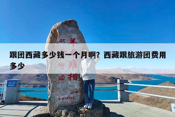 跟团西藏多少钱一个月啊?西藏跟旅游团费用多少