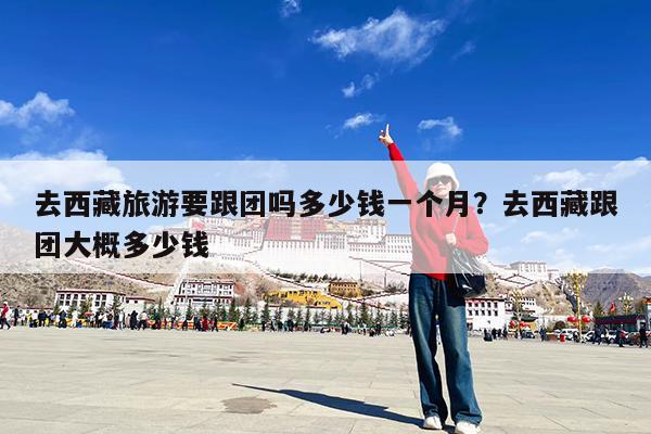 去西藏旅游要跟团吗多少钱一个月?去西藏跟团大概多少钱