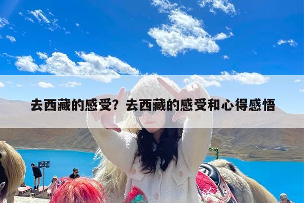 去西藏的感受?去西藏的感受和心得感悟