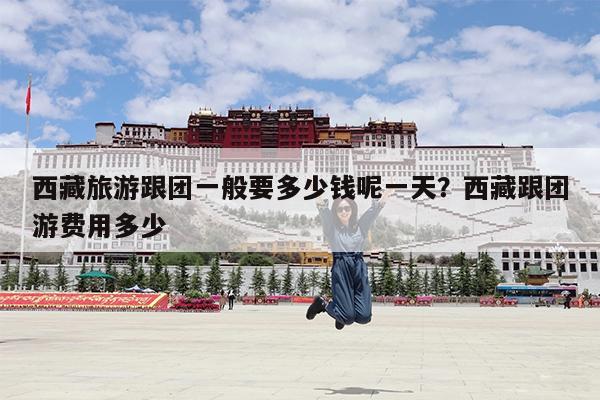 西藏旅游跟团一般要多少钱呢一天?西藏跟团游费用多少