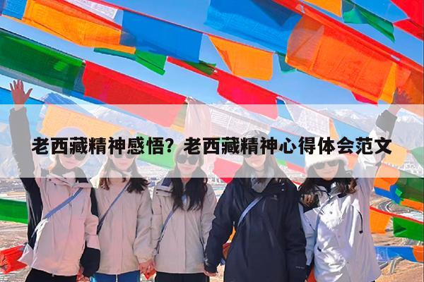 老西藏精神感悟?老西藏精神心得体会范文