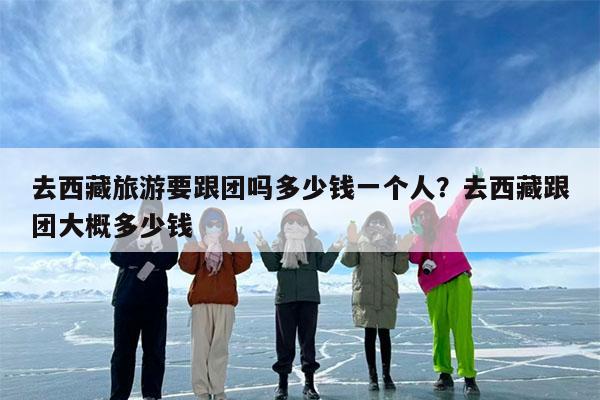 去西藏旅游要跟团吗多少钱一个人?去西藏跟团大概多少钱