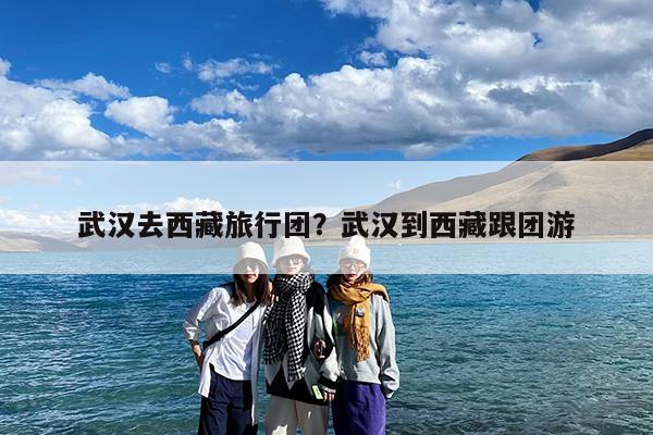 武汉去西藏旅行团?武汉到西藏跟团游