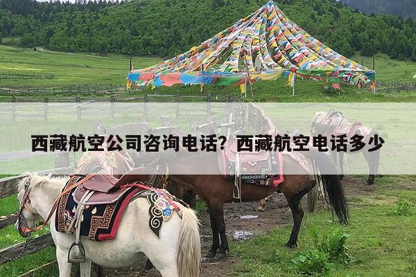 西藏航空公司咨询电话?西藏航空电话多少