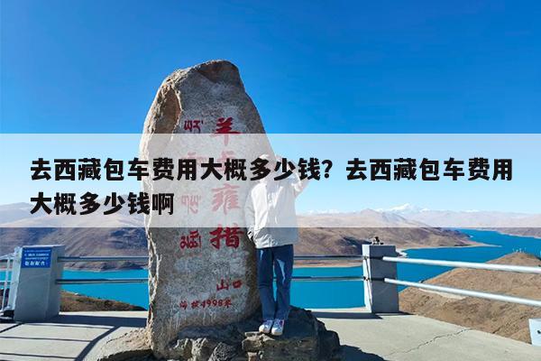 去西藏包车费用大概多少钱?去西藏包车费用大概多少钱啊