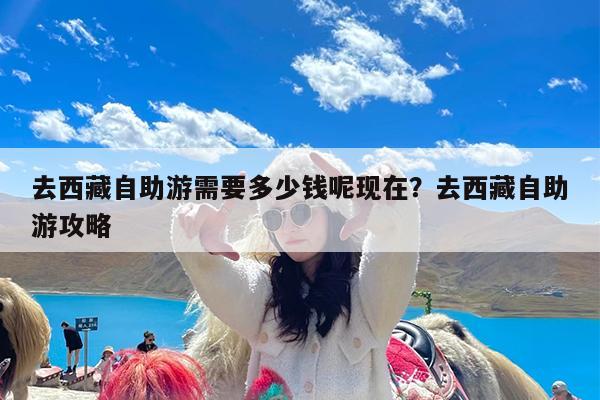 去西藏自助游需要多少钱呢现在?去西藏自助游攻略