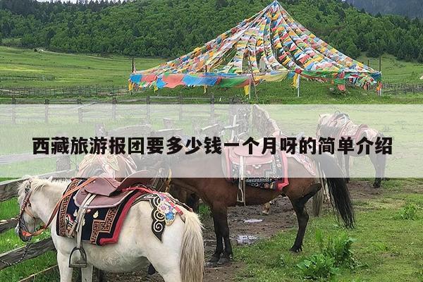西藏旅游报团要多少钱一个月呀的简单介绍