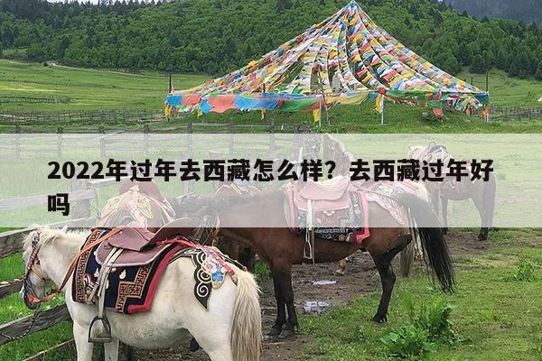 2022年过年去西藏怎么样?去西藏过年好吗
