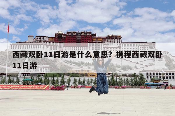 西藏双卧11日游是什么意思?携程西藏双卧11日游