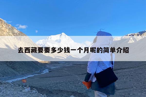去西藏要要多少钱一个月呢的简单介绍