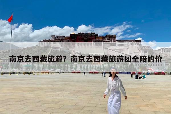 南京去西藏旅游?南京去西藏旅游团全陪的价