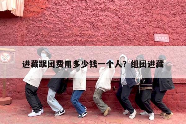 进藏跟团费用多少钱一个人?组团进藏