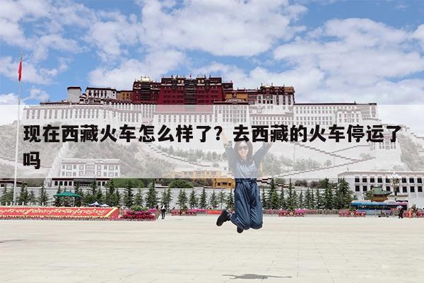 现在西藏火车怎么样了?去西藏的火车停运了吗