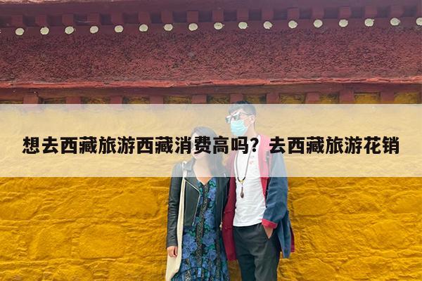 想去西藏旅游西藏消费高吗?去西藏旅游花销