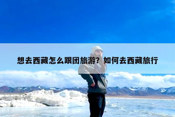 想去西藏怎么跟团旅游?如何去西藏旅行