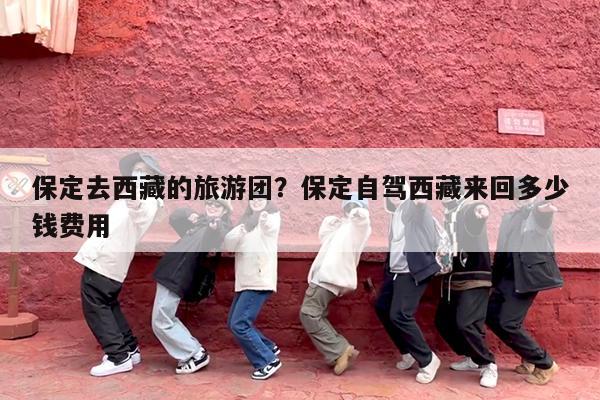 保定去西藏的旅游团?保定自驾西藏来回多少钱费用