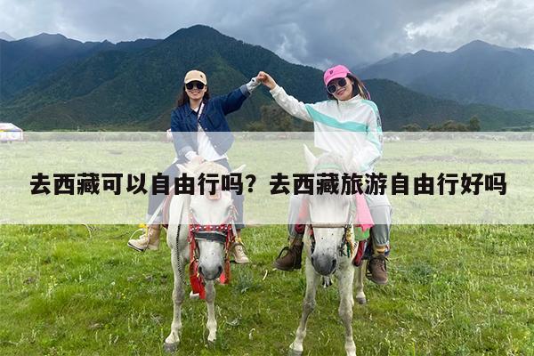 去西藏可以自由行吗?去西藏旅游自由行好吗